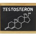 Muskelaufbau und Testosteron