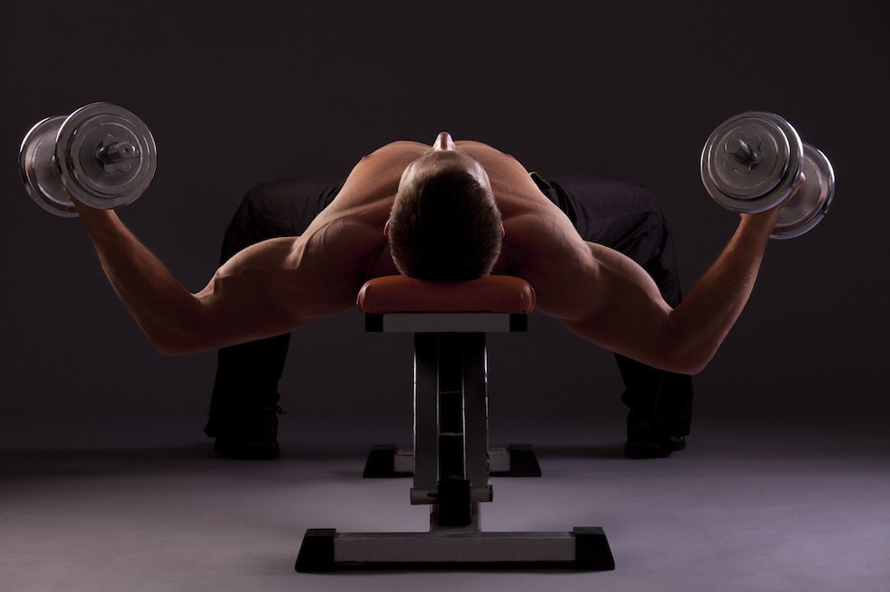 Bankdrücken (Kurzhantel)