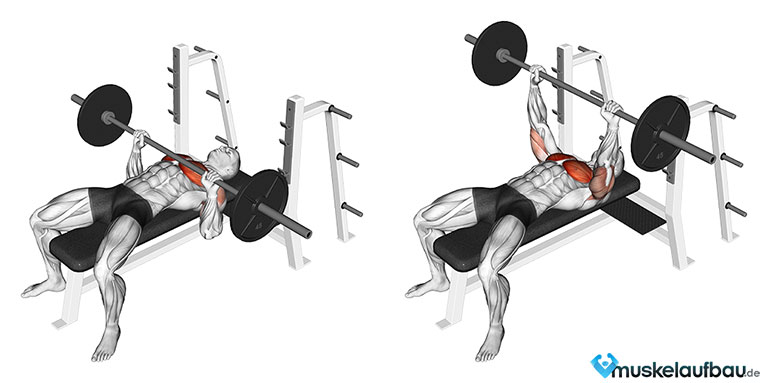 Langhantel Bankdrücken