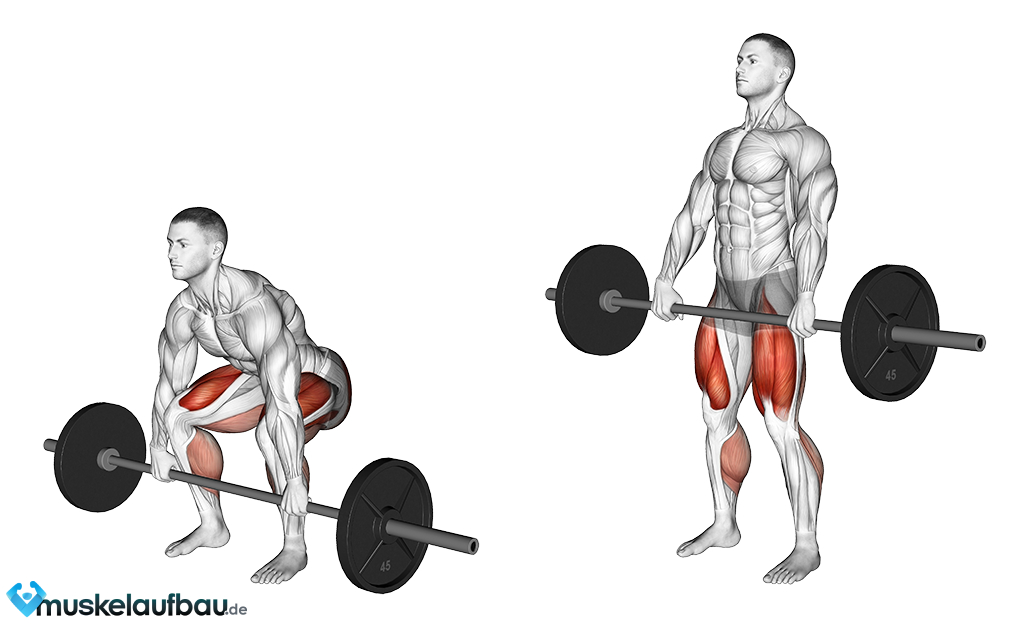 Kreuzheben - Lerne die richtige Ausführung und Technik