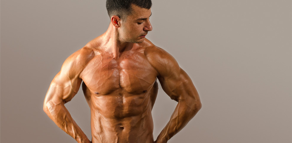 Wie viel Muskelmasse kannst du aufbauen?