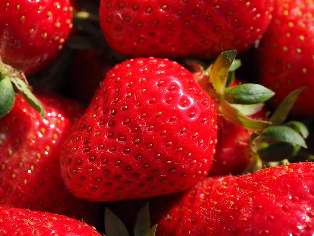 Frische Erdbeeren in Großaufnahme
