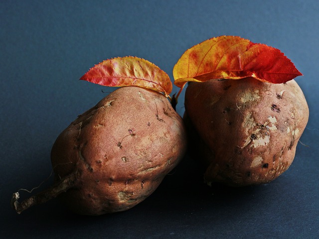 2 frische Süßkartoffeln auf einem blauen Löschpapier