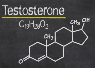 Wie wirkt sich das Testosteron auf Muskelaufbau aus?
