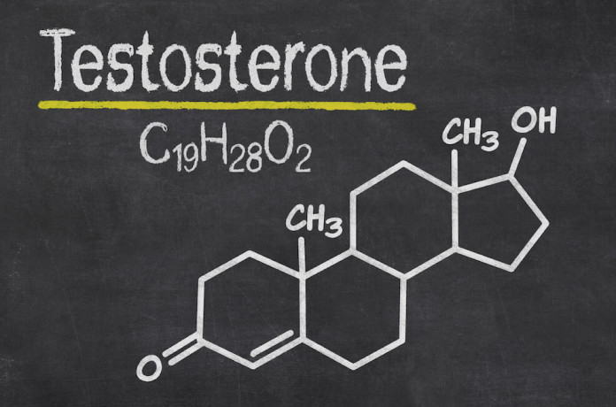 Testosteron und Muskelaufbau