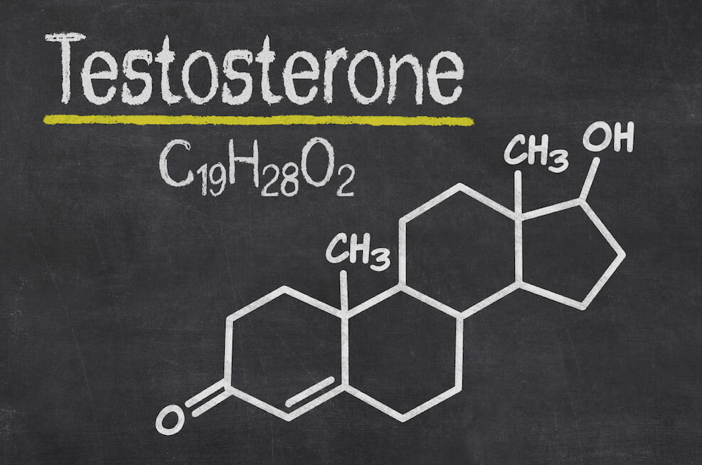 Wie wirkt sich das Testosteron auf Muskelaufbau aus?