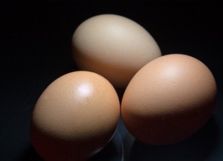 Eiweiß spielt im Muskelaufbau eine wichtige Rolle