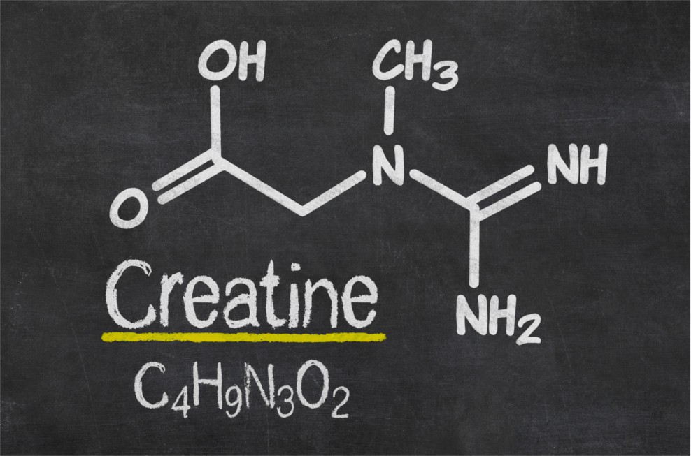 Die Strukturformel von Kreatin an einer Tafel
