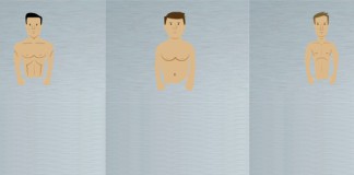 Hier sieht man die 3 Körpertypen nebeneinander: Ektomorph, Endomorph und Mesomorph